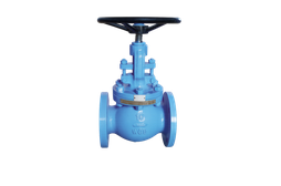 Globe Valve